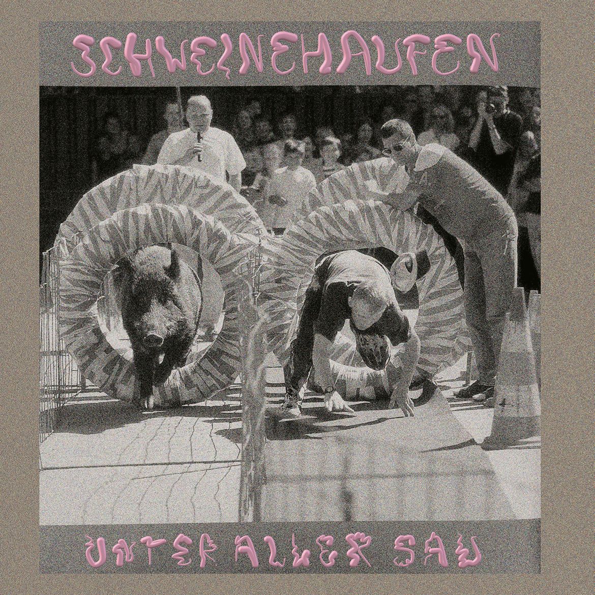 Das Cover zeigt eine öffentliche Veranstaltung bei der ein Mann einen Wettlauf gegen ein Wildschwein bestreitet. Über dem Bild steht in rosa Buchstaben »Schweinehaufen« und darunter in ebenfalls rosa Buchstaben »Unter aller Sau«.